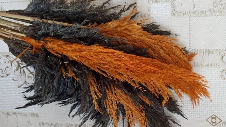 Wie besprüht man Pampas