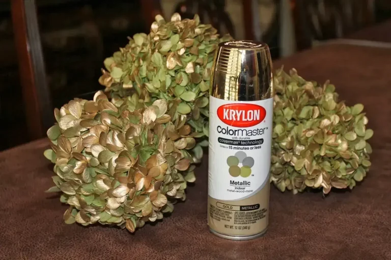 Wie malt man getrocknete Hortensien